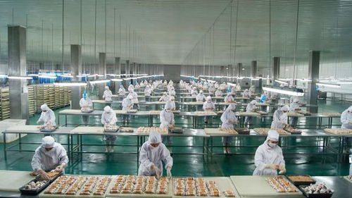 宠物食品第三股 以OEM模式为主能否在市场竞争中分得一杯羹？